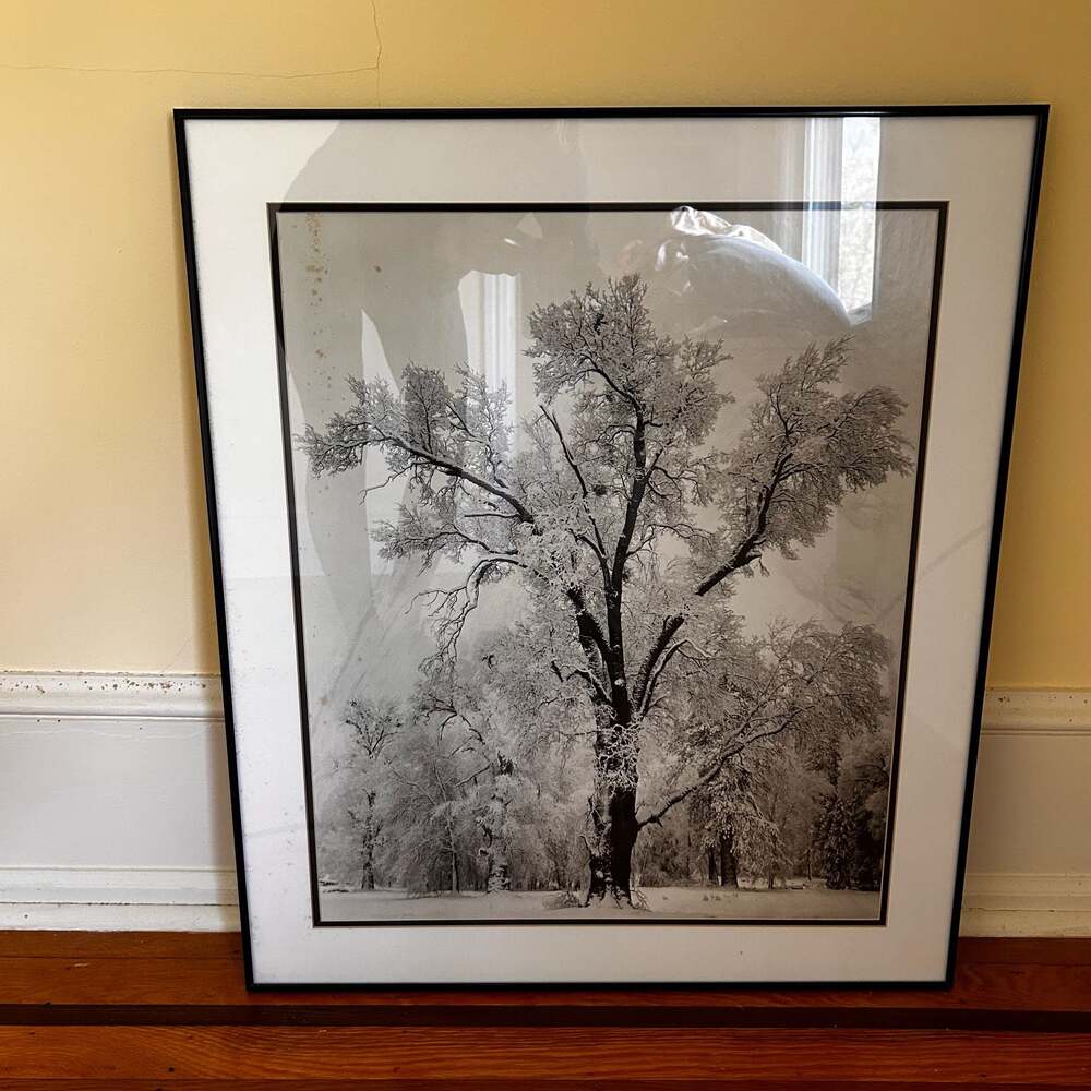 Ansel Adams Oak Tree Snowstorm Yosemite Framed Print